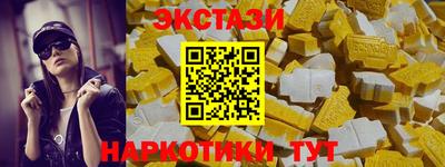 крисы Боровичи