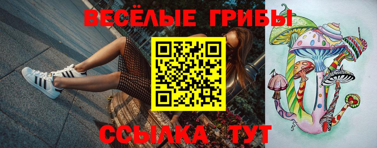 Галлюциногенные грибы Psilocybe Клинцы